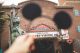 Disney's Hollywood Studios, Four Must Dos at Hollywood Studios, Tower of Terror, Muppet Vision 4D, Hollywood Scopes, Toy Story Land