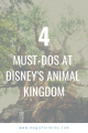 Must do Animal Kingdom, Walt Disney World, Magic for Miles