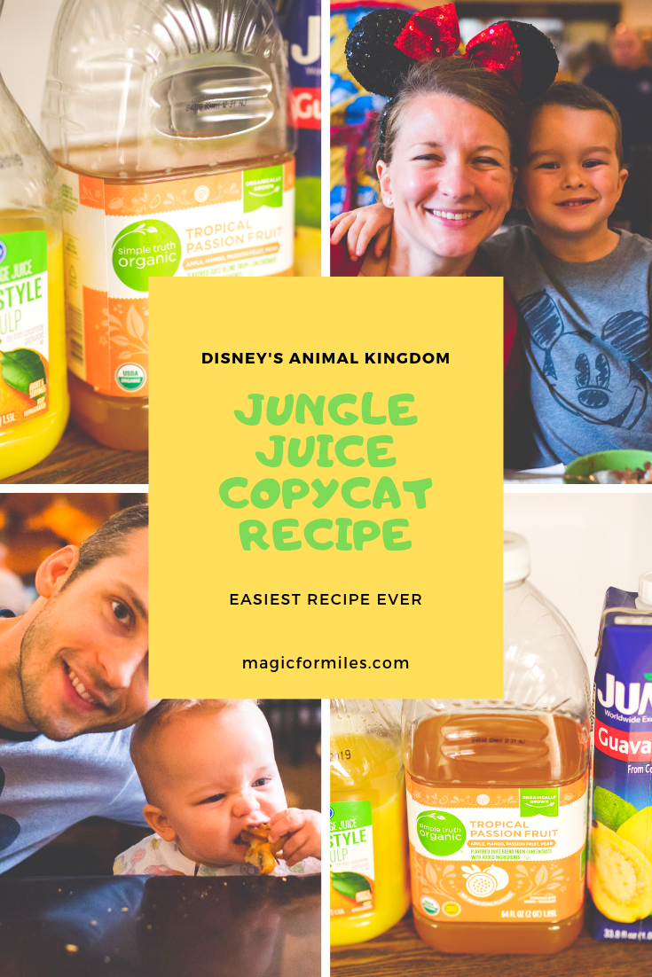 Disney's Animal Kingdom Jungle Juice, Jungle Juice, Walt Disney World, Magic for Miles, Bringing Disney Home, Disney copycat recipe, Easy Copycat recipe