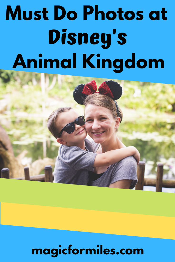 Must Do Photos Animal Kingdom, Must Do Photos, Photos at Animal Kingdom in Disney World