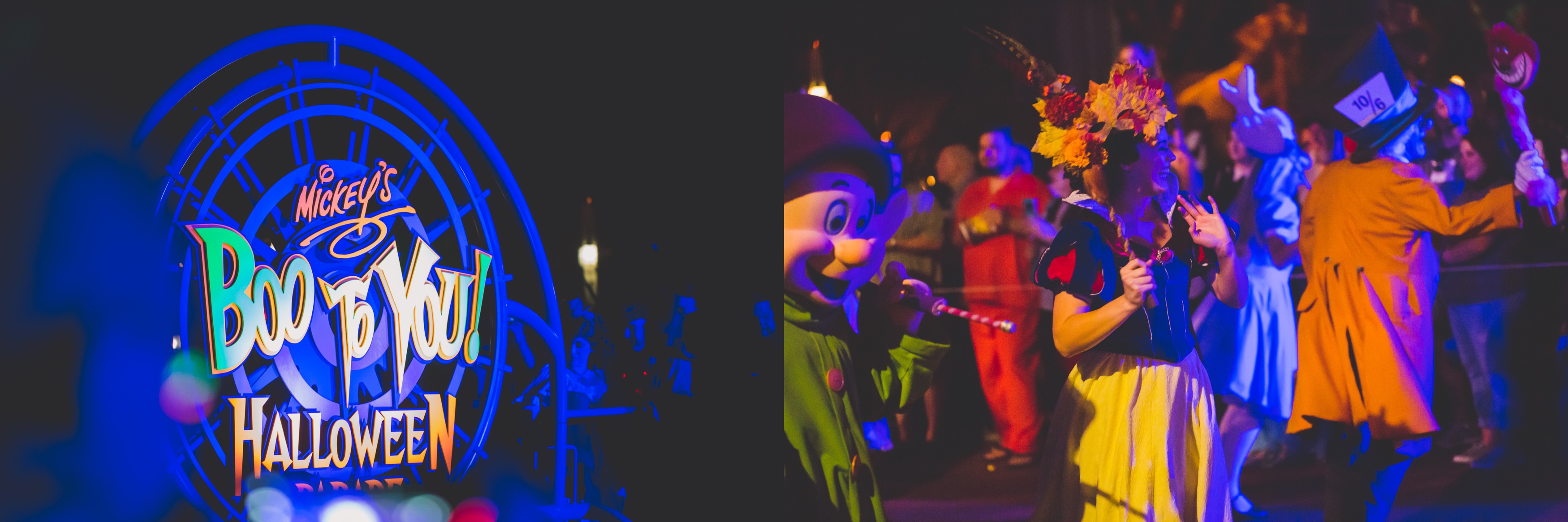 Mickey's Not So Scary Halloween Party Review and Tips 
