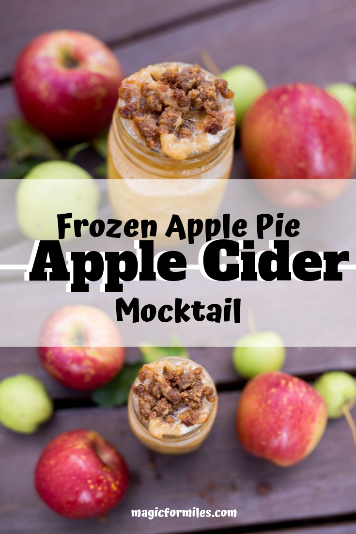 Frozen Apple Pie Apple Cider Mocktail